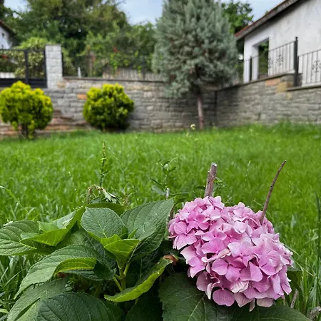 Paparuna Stone